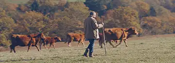 Production vidéo agriculture agence production vidéo agriculture industrie agroalimentaire