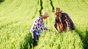marque engagée et authentique agro industrie
